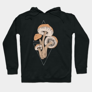 Mushroom pickers mushrooms in the triangle Hoodie